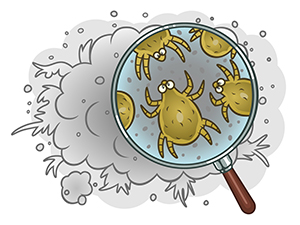 結紮會影響荷爾蒙嗎？外科醫生爲你解答